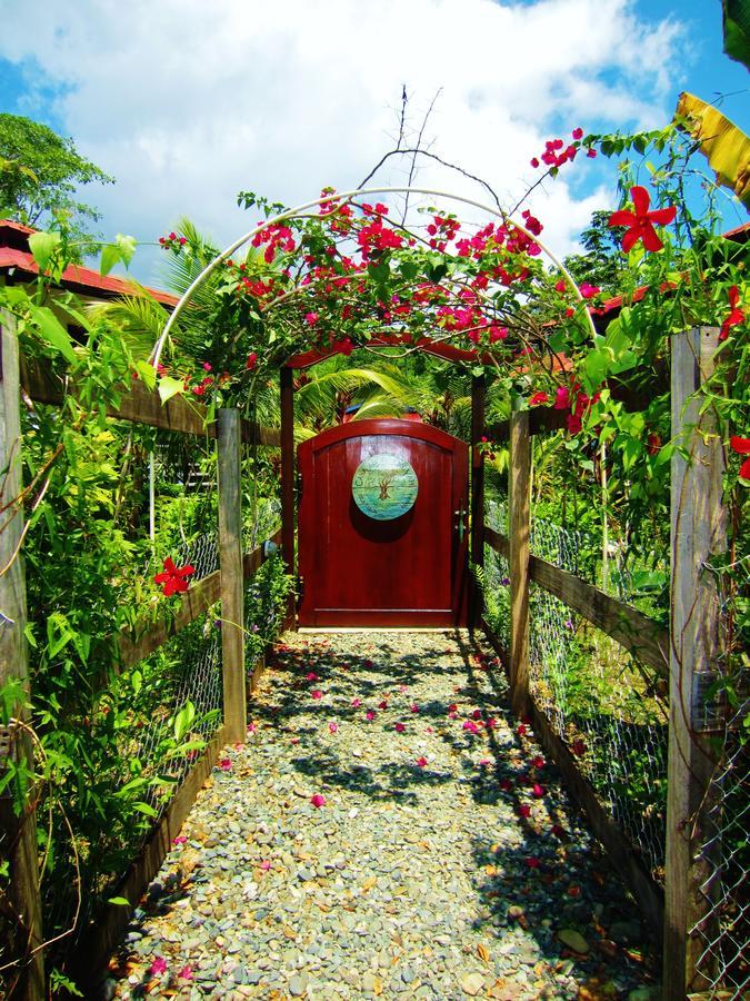 Casa Abundancyah B&B Bocas del Toro Exterior photo